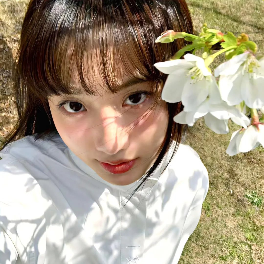 君子好逑